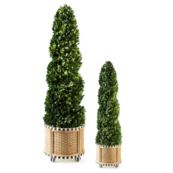 Spring|Greenery & Florals|MacKenzie-Childs Basket Weave Spiral Medium Boxwood Topiary