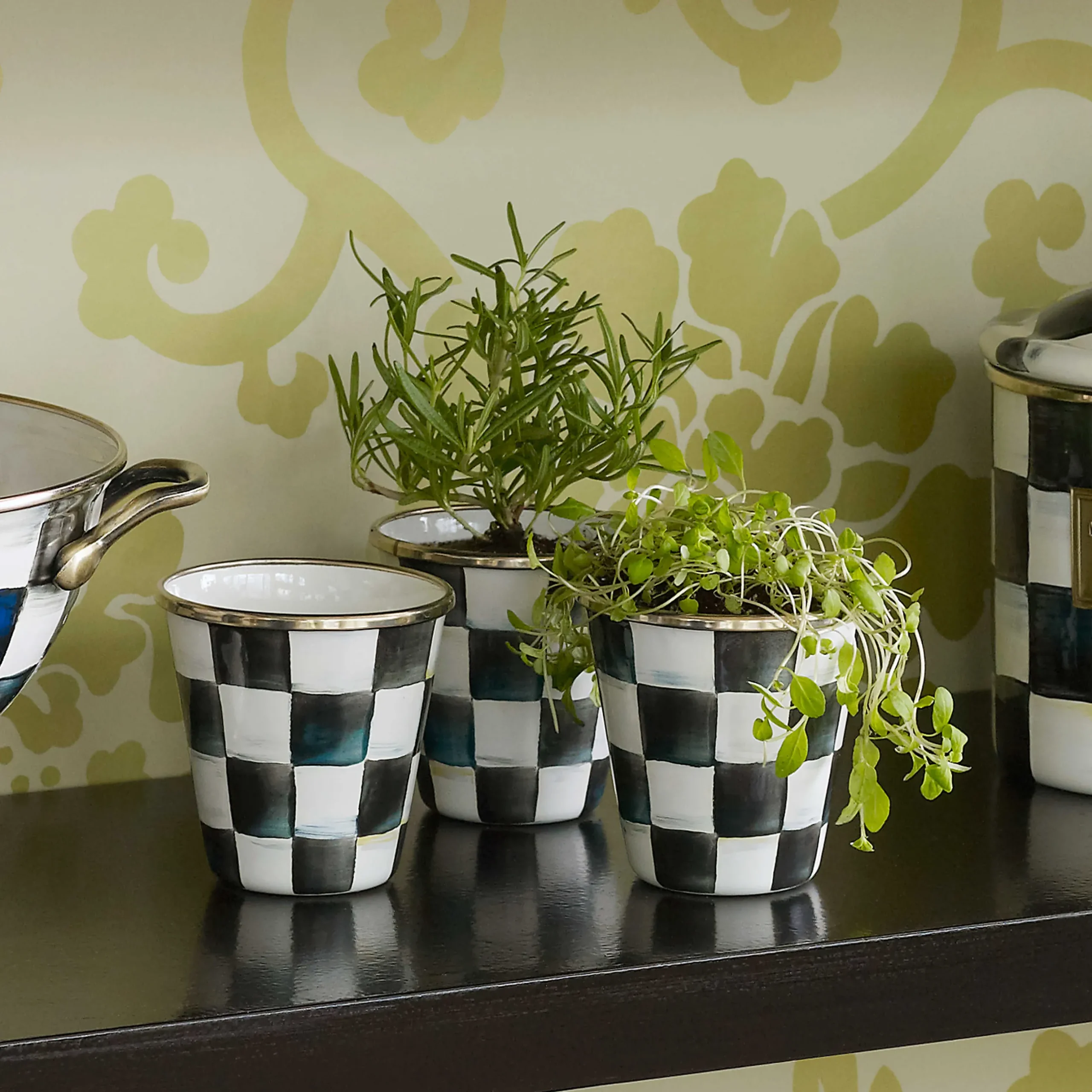 Spring|The Fall Shop|MacKenzie-Childs Courtly Check Herb Pots, Set of 3