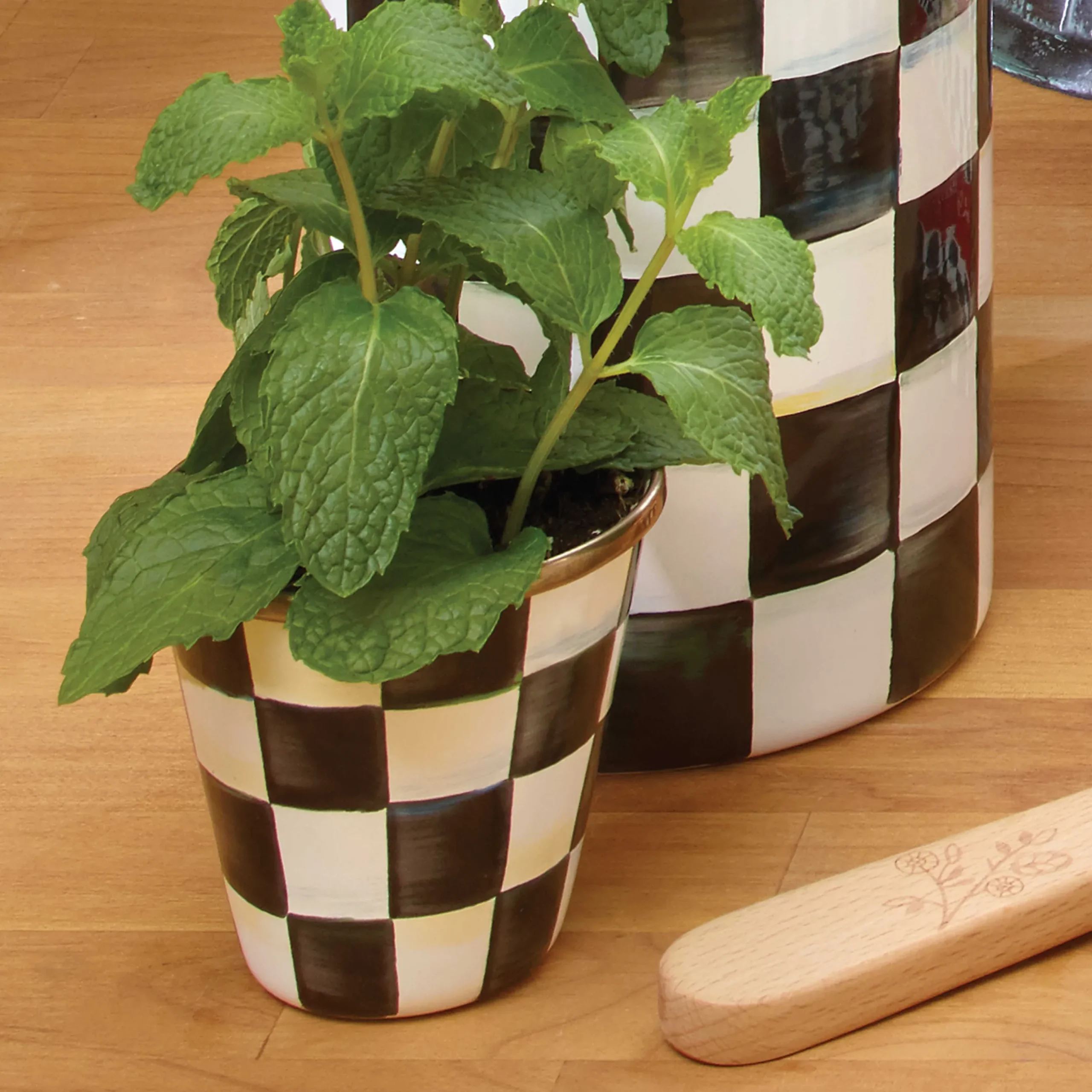 Spring|The Fall Shop|MacKenzie-Childs Courtly Check Herb Pots, Set of 3